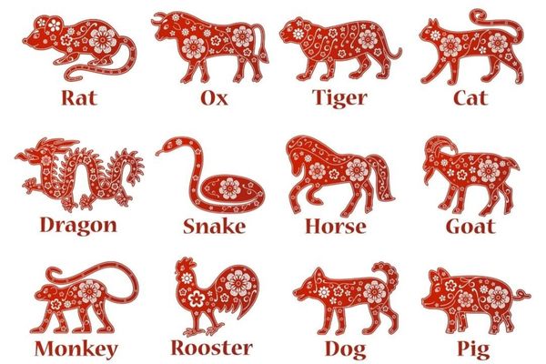 12 con giáp phù hợp với cây nào