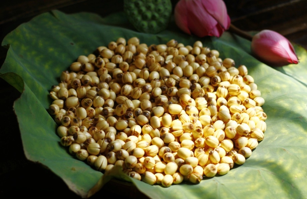 Cách bảo quản hạt sen tươi bằng phương pháp phơi khô