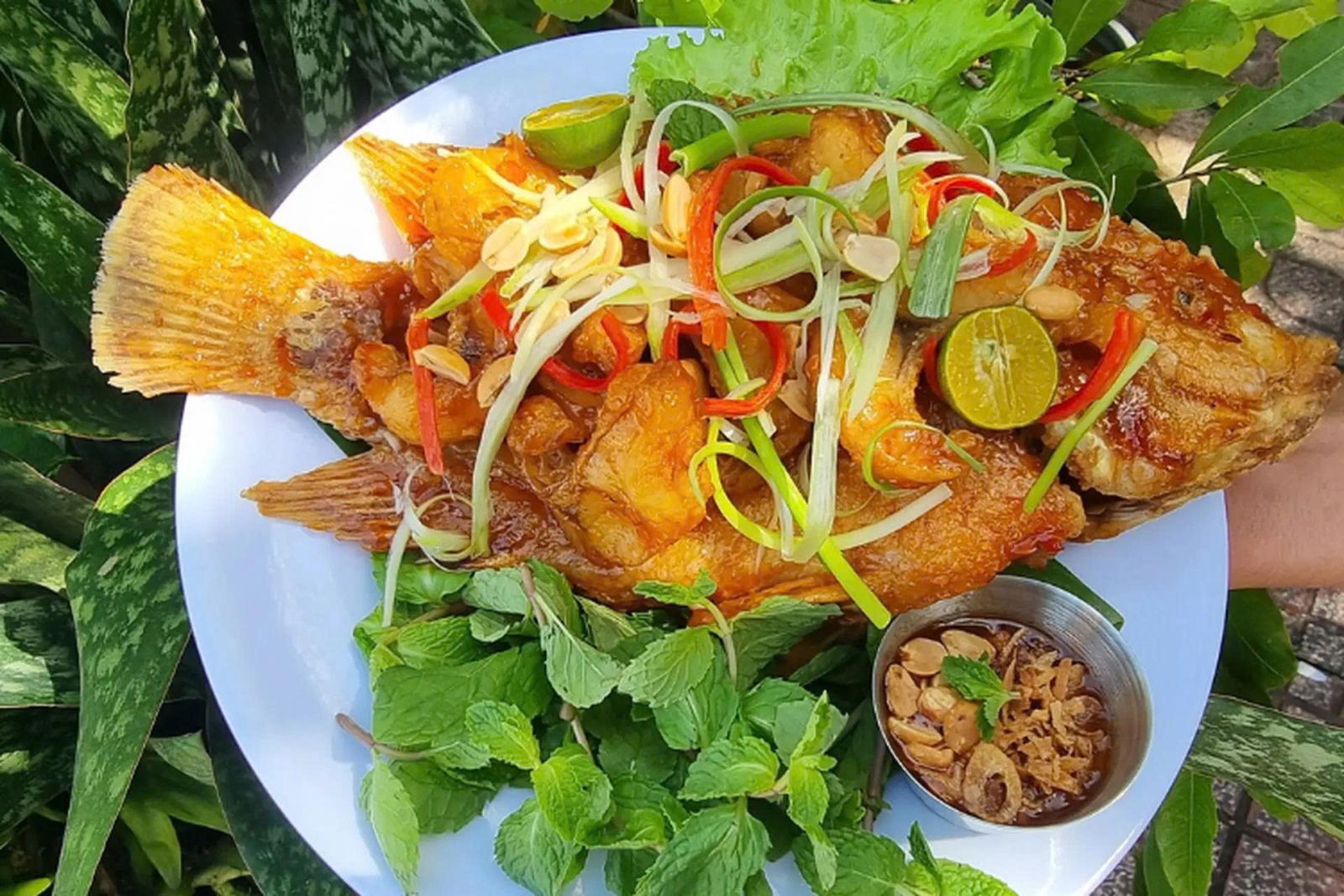 món ăn hàng ngày dễ làm
