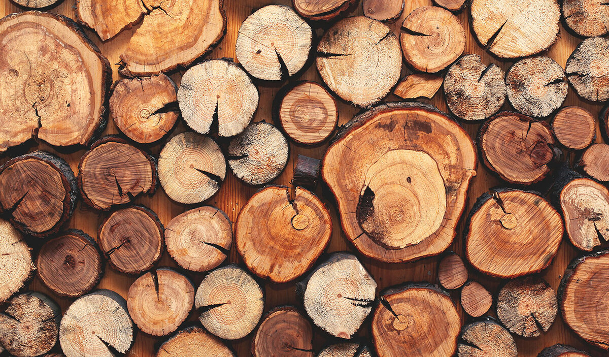 Nên chọn gỗ Plywood hay gỗ tự nhiên