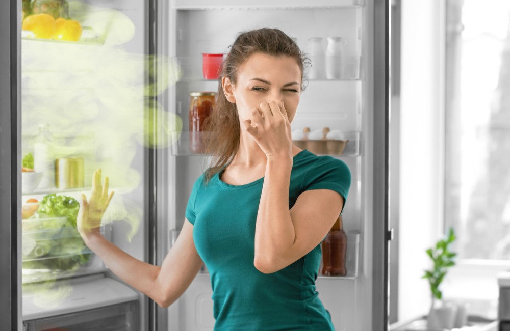 Nguyên nhân gây mùi hôi tủ lạnh - Hiểu rõ để xử lý triệt để