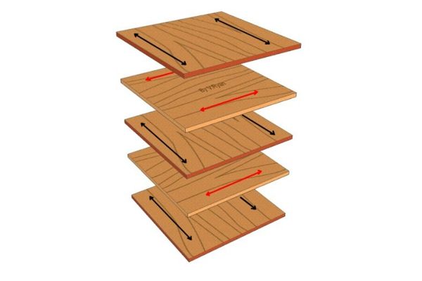 Cấu tạo của gỗ plywood