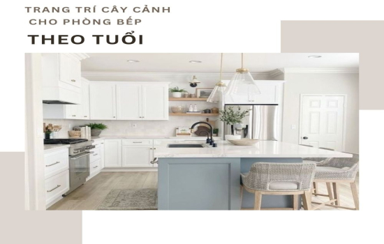 Trang Trí Cây Gì Trong Phòng Bếp Hợp Tuổi Với Gia Chủ