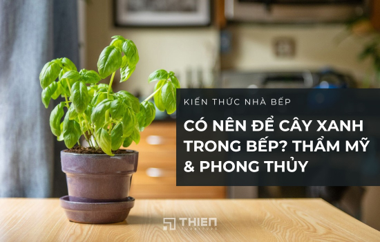 Có Nên Để Cây Xanh Trong Bếp? Góc Nhìn Thẩm Mỹ & Phong Thủy