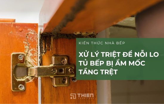 Xử Lý Triệt Để Nỗi Lo Tủ Bếp Bị Ẩm Mốc Tầng Trệt